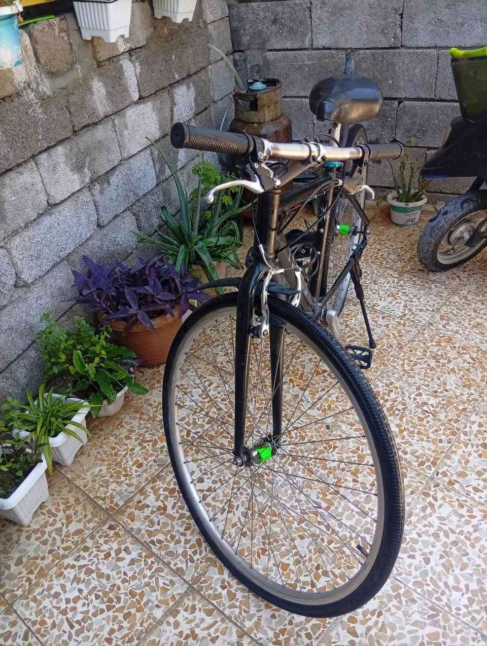 بايسكل للبيع نظيف
كلو شغال
ادفع سعر عجبني ابيعك


**إذا كنت صاحب هذا الإعلان وتريد حذفه لأي سبب، رجاءا أرسل رسالة إلى الدعم الفني**