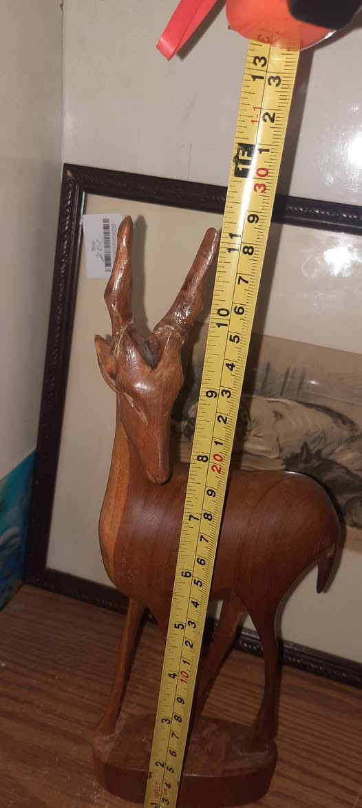 ٤٠٠٠ ضرر القرون ولاصقيهن


**إذا كنت صاحب هذا الإعلان وتريد حذفه لأي سبب، رجاءا أرسل رسالة إلى الدعم الفني**