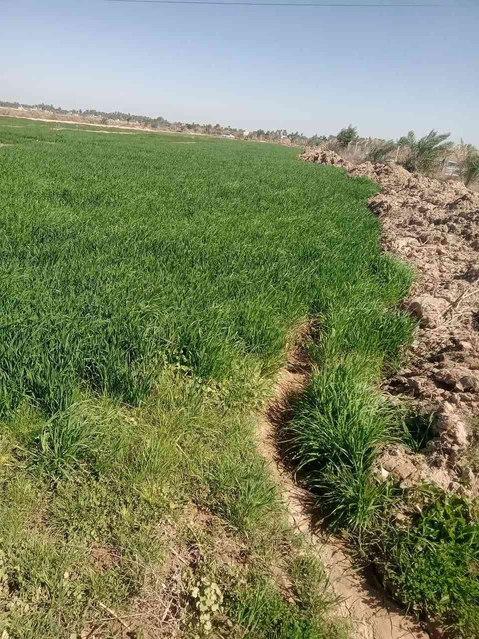 السلام عليكم أرض زراعية للبيع 40 دونم متوفر ماء تبعد عن الشارع العام 400 متر مع قطاسات وكهرباء متوفرة مع غرفة
تفاصيل اكثر
الرقم ***********
