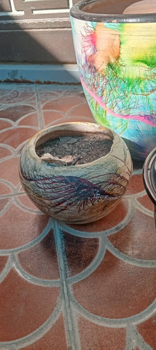 سنادين عدد 5ب15 كلهن بغداد البياع


**إذا كنت صاحب هذا الإعلان وتريد حذفه لأي سبب، رجاءا أرسل رسالة إلى الدعم الفني**