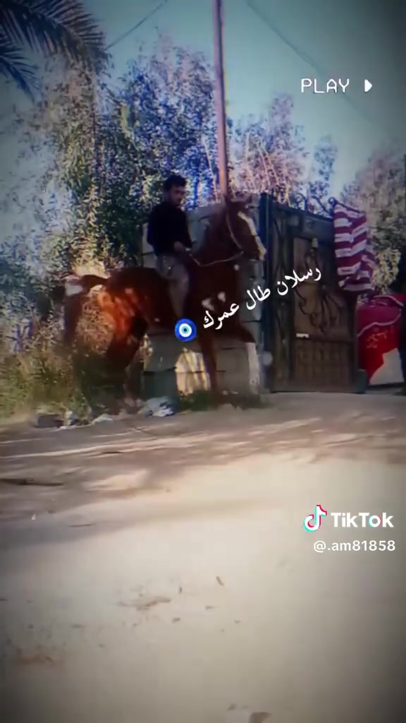 السلام عليكم حصان عربي سالم من كل عيب خيالة نار عمرة 6سنوات ارتفاعة 152مصطرة مكفولة من كل عيب مدرب عل سجود وسعرة مناسب 900وبي مجال ابيع بيع وليسة مراوس والموشراي لا يخابر مكاني حلة مركز المدينة جسر نادر منطقة الجنابين *********** اخوكم حمودي الجنابي
