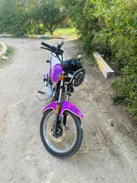 دايوان عظم 23 اوراق  السعر 775$07754343813