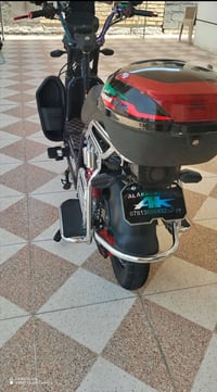 جبلي • موديل ٢٤ • بصمة