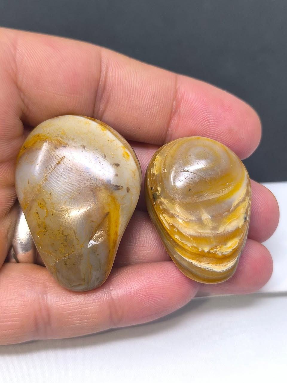 سليماني قطعتين حلوات 
سعرهن خاص...


**إذا كنت صاحب هذا الإعلان وتريد حذفه لأي سبب، رجاءا أرسل رسالة إلى الدعم الفني**