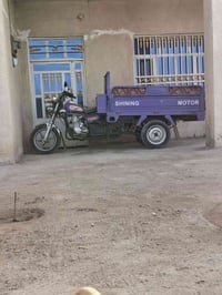 ستوته • موديل ٢٢ • مكفولة