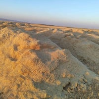 تبن • نظيف • عرباين كبيرة