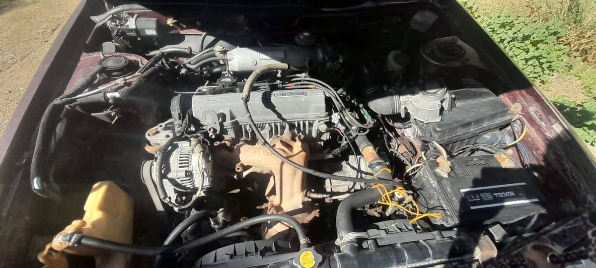 السلام عليكم كامري موديل 91رقم بغداد  بلادي يسرة  رقم بغداد سنويه جديده تخم تاير تخم ويل جديد كير مكينة جدد السعر 30/اللاستفسار ***********
مكان ديالى بعقوبة
