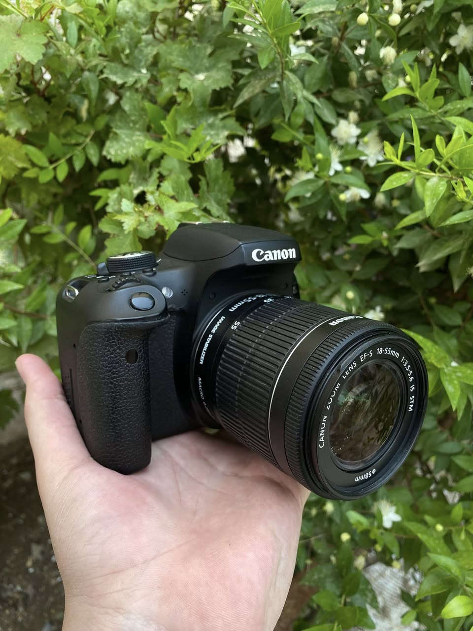 للبيع كامرا كانون 750D الحديثة شاشة لمس قلاب + wifi نضافه موضحة بلصور
ملحقات
عدسه 18-55 استبلايزر مانع اهتزاز
شاحنة
بطاريه
السعر 460 الف وبي مجال للطيبين 
مكان بغداد البنوك 
لايوجد توصيل


**إذا كنت صاحب هذا الإعلان وتريد حذفه لأي سبب، رجاءا أرسل رسالة إلى الدعم الفني**