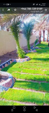 لعمل الديكور اتصل على الرقم (07807290189) 🍃مستـعدون🍂 ، لـترتيب🐦 الحدائ...