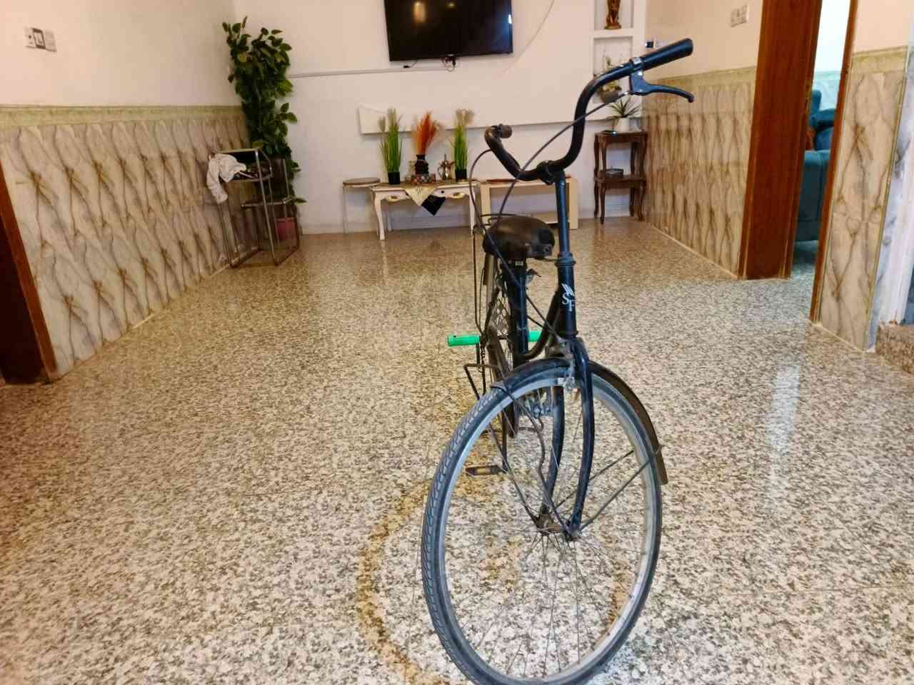 بايسكل ياباني حجم ٢٦ سعره ٩٠


**إذا كنت صاحب هذا الإعلان وتريد حذفه لأي سبب، رجاءا أرسل رسالة إلى الدعم الفني**