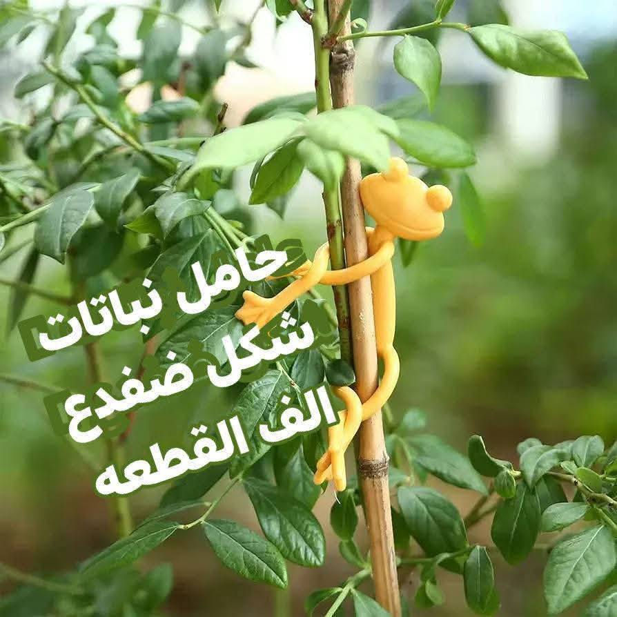 🎉لكثرة الاسئلة على قطع متوفر والاسعار 🎉
تم تنزيل  اخر القطعه المتوفر 🎉🎉
مع الصور والسعر وتدللون علينا🌹❤️ 
🪴يتوفر لدينا جميع اكسسوارات نباتات وسنادين بلاستك نوعيه ممتازه 🦊🪴 🐼 
🚕توصيل كل محافظات العراق 🚕 
🪴الزرع لعرض فقط 🪴 
يتوفر جمله ومفرد 🐼 🦊 
حجز على خاص ☎️
📞***********📞

🐼 🕊️🐝🐞🐦🕊️🦋🐦🐞🌿🍄🕊️🐞🦋🐦🍄🌿
متوفر دعسوقات 🐞 🐞🐞🐞
ونحلات لاصقه 🐝🐝🐝🐝🐝
وفراشات 🦋🦋🦋🦋🦋🦋
فطر زينه 🍄🍄🍄🍄🪴💕
1-🐼باندا الفين القطعه 
سنجاب ٢ با 5 الف 🐼 
 🐞
4-🐞وسط ٢٠ وسط جيس الف 🐞
5-🐞دعسوقة خشن ١٠ قطع با الف 🐞
6-🐞دعسوقة ملون ١٠ قطع الف🐞
7-👍كف ١٠ قطع الف 👍
8-🐦عصفور ٥٠٠ القطعه 🐦
9-🪴غصن مترين رفيع  الواحد الف 🪴
10-🎊نشر ضوئيه مترين الف 🎉🎊
11-🌹🐝نحله صفراء ٤٠ قطعه با الف🌹🐝
12-🌹 ضفدع الف القطعه 🍄🐝🐝
13-🌹🦋🦋🌹فراشه عاديه لصق وجهين و مغناطيس ١٠ قطع با الف🦋
14-❤️جيس ١٠ قطع  ماسك لبلاب كف 

15-🍄١٠ قطع فطر  صغير  جيس الف
فطر كبير جيس الف 🍄
16-🕊️حمام وسط الف🕊️
17-🕊️فلفل جيس الف 🐝🕊️
18-🪴ماسك لبلاب الف 🌿
🦋
19- فراشات سيم صغيره  ٤ سم 4 با الف🦋
🦋٧ سم ٣ با الف🦋
🦋٨ سم و ٩ سم  ٢ با الف🦋
20-فطر ملون صغير 10 با الف🍄
21-دعسوقة ام عوده ملون جيس 10 قطع ا🍄
23-فطر ملون  صغير او كبير جيس الف 🍄
24- دعسوقة كبير جدا الوحده الف 🐞
25-حجر مضيئه جيس الف 🟣🔵🎊🎉
26- حجر ملون فقط جيس الف 🔵🟣🎊
🪴الزرع لعرض فقط🪴 
#توصيل كل #محافظات_العراق
#بغداد #ناصريه #نباتات #ديوانيه #زرعاتي #سنادين_ورد #ديكورات #نباتات_منزلية_داخلية #نواعم #بابل #البصره #ديالي #واسط #المثني #ديكورات_خشب
#سناد #سناد_زرع #نباتاتي
