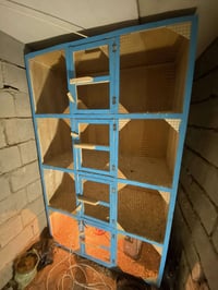 قفص • نظيف • بابل