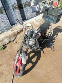 موديل 12 • اوراق اصلية • طوريج سياحي