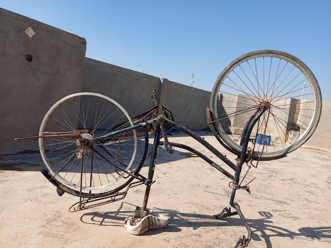 سلام عليكم
بايسكل لون اسود عوزه بس جوب 2 وتايرات لان جان مضموم الباقي كله كامل مثل مموضح بل صور مكاني صگلاويه ***********
