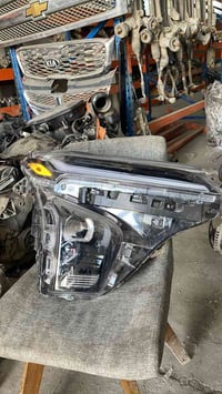 لايت تراكس • 2024 • يمين أصلي