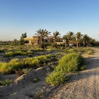 ١٣٢٥م • طريق حلة نجف • طابو زراعي