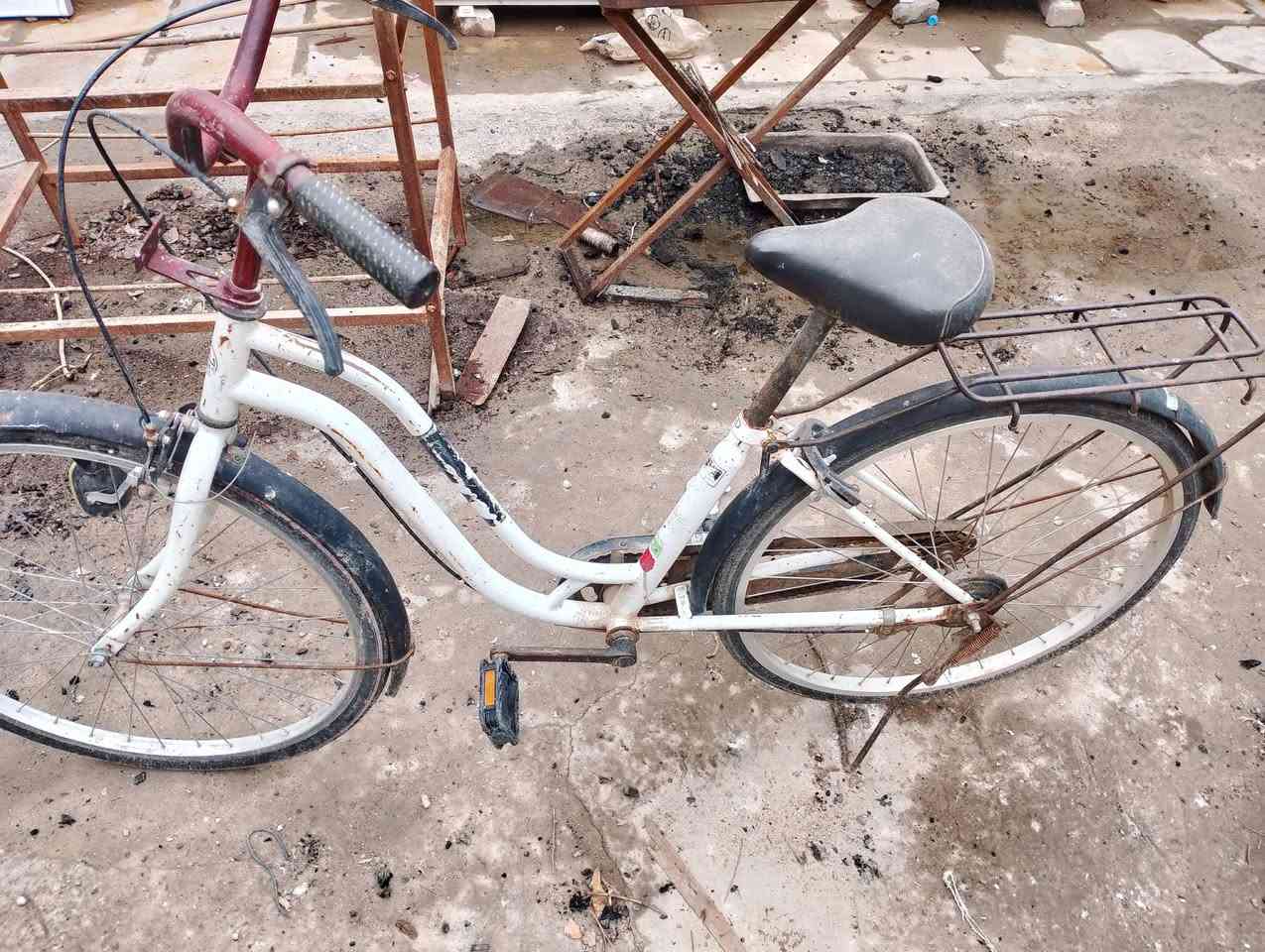 بايسكل حجم ٢٦
مكانه النجف حي المكرمه 
السعر ٤٥٠٠٠


**إذا كنت صاحب هذا الإعلان وتريد حذفه لأي سبب، رجاءا أرسل رسالة إلى الدعم الفني**