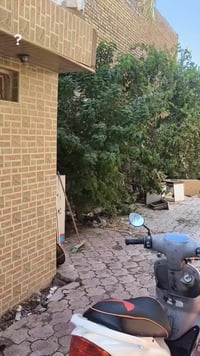 ماكس منغولي • جديدة • قفل رقمي