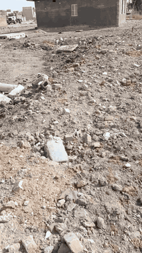 طابو زراعي سند ٢٥ • ٣٠٠م • بابل المسيب حي العسكري