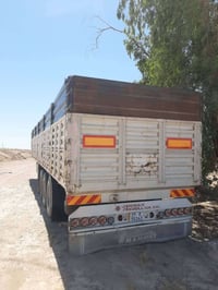 عربانه عبدالله جوهر • ٢٠١٧ • مكفولة