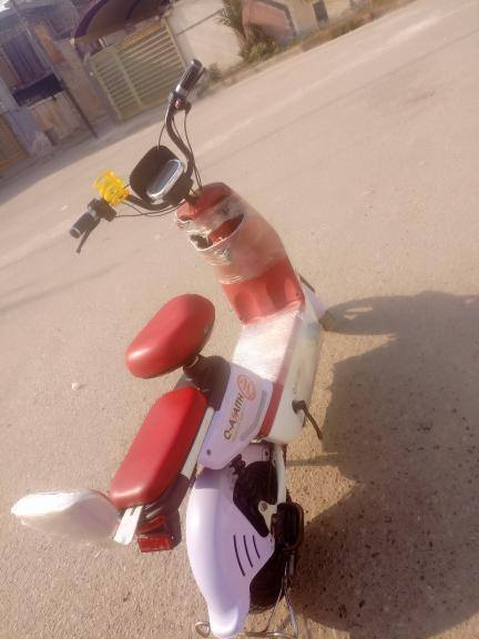 السلام عليكم دراجه شحن للبيع
الحجم 14

4 بطاريات جدد 16امبير 

لايت عالي ناصي 

استاند جانبي

اشاير يمنه ويسره 

3 سرع السرعه الحقيقيه 

الدراجه جديده بمعنى الكلمه استخدام شهر ونص فقط 

مكاني بغداد بلديات 

السعر 240  وبيه مجال 

الرقم الاتصال ***********
