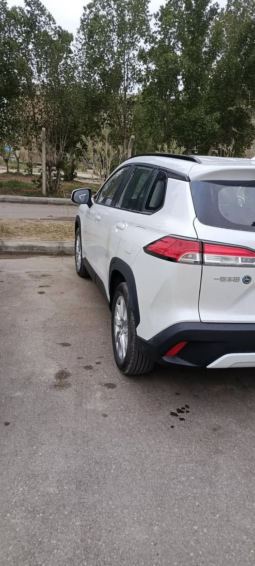 كورلا كروز 2025 سياره كفاله عامه سياره اقساط بسم زوجته والكفيل رجلها ثنيهم من البصره  موضف مدني سويلك وكاله بيها سياره سعرها 145ورقه الشراي يراسلني وتساب فقط ***********
