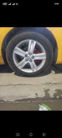 مراوس بويل عادي 07716443405