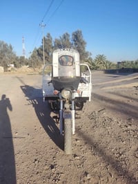 ستوته • ستوته ام طير • رقم شمالي • سنويه • مديل 2009 • ديالى