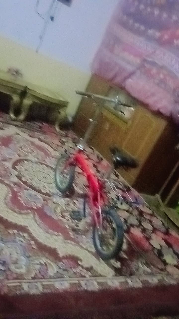 للبيع 40بايسكل *********** اتصال على هذا الرقم   بل  صويره
