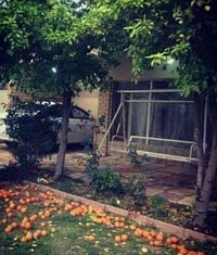 حي الضباط الاولى • ٤٠٠م • ملك صرف