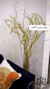 وصول نبات القرانيا او الصفصاف 
موجود جملة و مفرد 
***********
