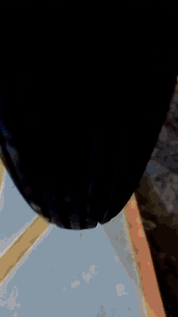 سلام عليكم دراجة البيع المكان كربلاء امن الداخلي وراق سكنر مديل 25 مكفوله برغي ما مفتوح بيهه ستفسار عله هاذه الرقم ***********
