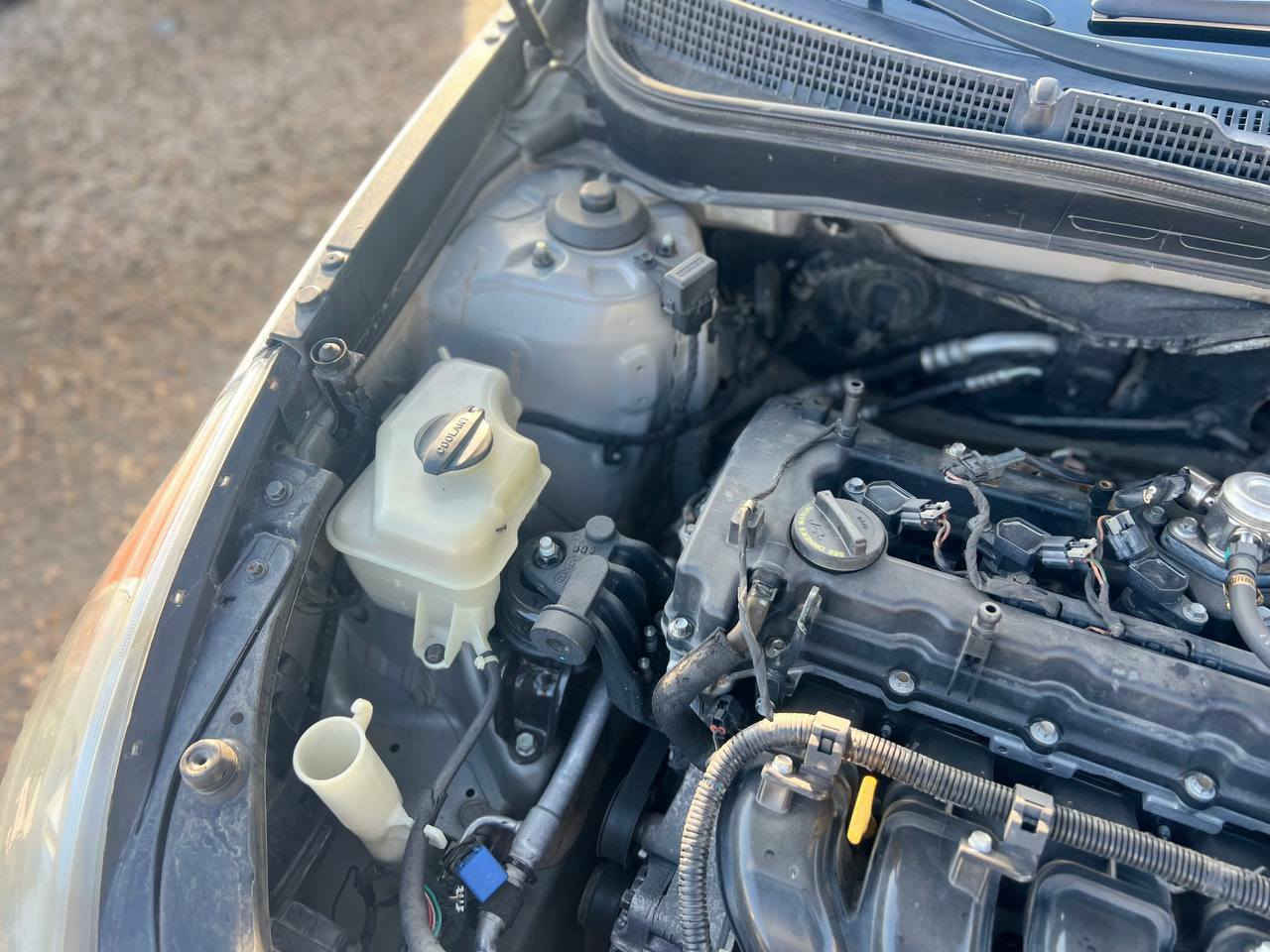 سلام عليكم
لبيع سوناتا موديل 2012 امريكي بدون ضرر كلين 

وتقرير موجود بيها بارد بسيط والباقي مكفوله 

تخم تاير حداديه جديده رقم بابل الماني مشروع وطني 

مكينه شرط مشروطه لا تنقص ولاتبخر ولادونز 

مكانه بابل القاسم(عليه السلام ) الشراي يتصل 

***********
