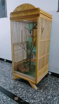 قفص داخلي • طيور زينة • ١٦٠×٦٦