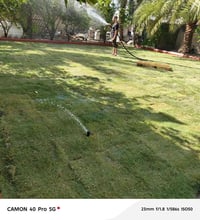 ديكور حدائق • نخيل • تصميم وتركيب