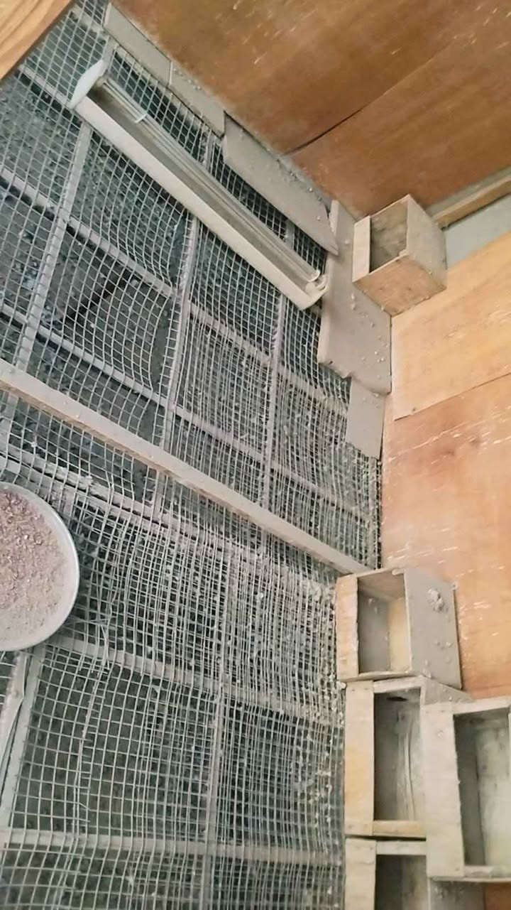 سلام عليكم قفص طيور للبيع 3×3 والارتفاع 2   القفص خشب الثقيل + بي ار سي والارضيه حديد + بي ار سي   ملاحظه شد براغي مو بسامير  والشراي بي خير ويدلل
*********** ناصرية, ذي قار
