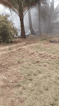 سلام عليكم ورحمة الله مره خصت الأدمن المحترم احنة عمال اثنين نشتغل أعمال حره تنضيف بساتين حدائق قص الأشجار والنخيل للتواصل ***********
