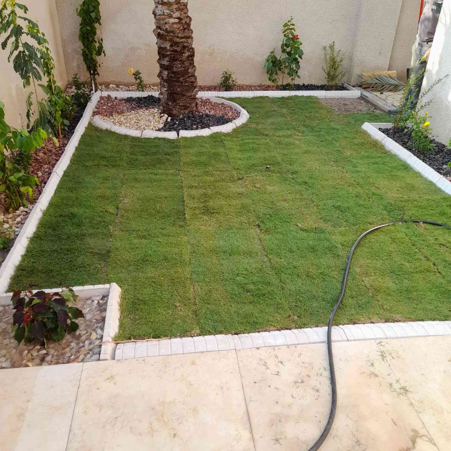 🌿✨ Al-Amry Landscape ✨🌿

نحوّل المساحات العادية إلى حدائق تنبض بالجمال والحياة 💚
تصاميم عصرية تجمع بين الذوق الهندسي والطبيعة الساحرة 🌺

🔹 تصميم وتنفيذ حدائق منزلية
🔹 حدائق الشركات والمجمعات
🔹 تنسيق حدائق المدارس والجامعات
🔹 تصميم جلسات خارجية (Outdoors)
🔹 زراعة الثيل والنباتات وتنسيق كامل للمساحات

👨‍🌾 بإشراف:
المهندس الزراعي عبد الحسن محمد العامري

💡 دقة بالتنفيذ + أفكار إبداعية + جودة عالية

📩 للتواصل والحجز:
***********

🌱 خلي حديقتك تحچي عن ذوقك… وإحنا نحقق الحلم 💫 البصرة, العراق
