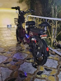 دراجة شحن • حجم ٢٠ • كوت