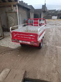 ستوته • ٢٠١٨ • فحل