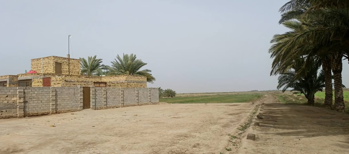السلام عليكم ارض زراعيه للبيع الديوانيه قضاء السنيه تبعد 6 كيلو عن مركز السنيه طريق الساده ال معله مباشرة ع شارع كافه الخدمات ماء اساله وتبليط  قانون 117 مساحتها  7 دونم مع  بيت 300م طابوق  بنيان جديد عكاده (غرفتين  وصاله واستقبال) معه حقل حلال معه مضخة ماء 
الإتصال ع الرقم 
***********
