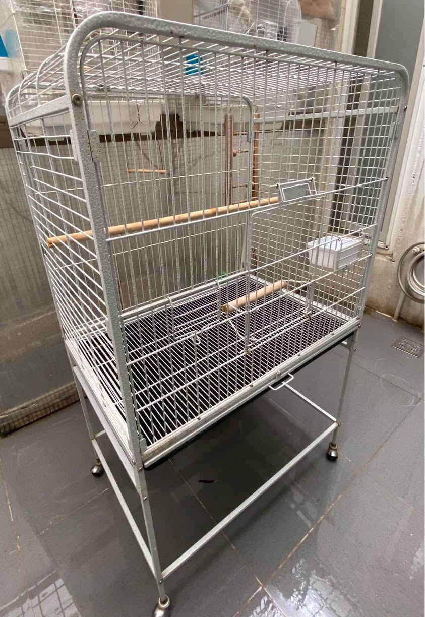 قەفەس کەم بەکارهاتوو خاوێن، بۆ کۆکتێل و تووتی گونجاوە
قفص طيور مناسب لطيور الكوكتيل والببغاء. استخدام قليل ونظيف
قياسات
عرض (پانی) ٨٠ سم
ارتفاع (بەرزی) ٧٠ سم
عمق (قوڵی) ٥٢ سم
ارتفاع مع القاعدة بالچروخ من الارض ١٣١ سم
بەرزی بە قاعیدەوە و تایەکان لە زەویەوە ١٣١ سم
نرخ (سعر) ٩٥.٠٠٠ دینار السليمانية, العراق


**إذا كنت صاحب هذا الإعلان وتريد حذفه لأي سبب، رجاءا أرسل رسالة إلى الدعم الفني**