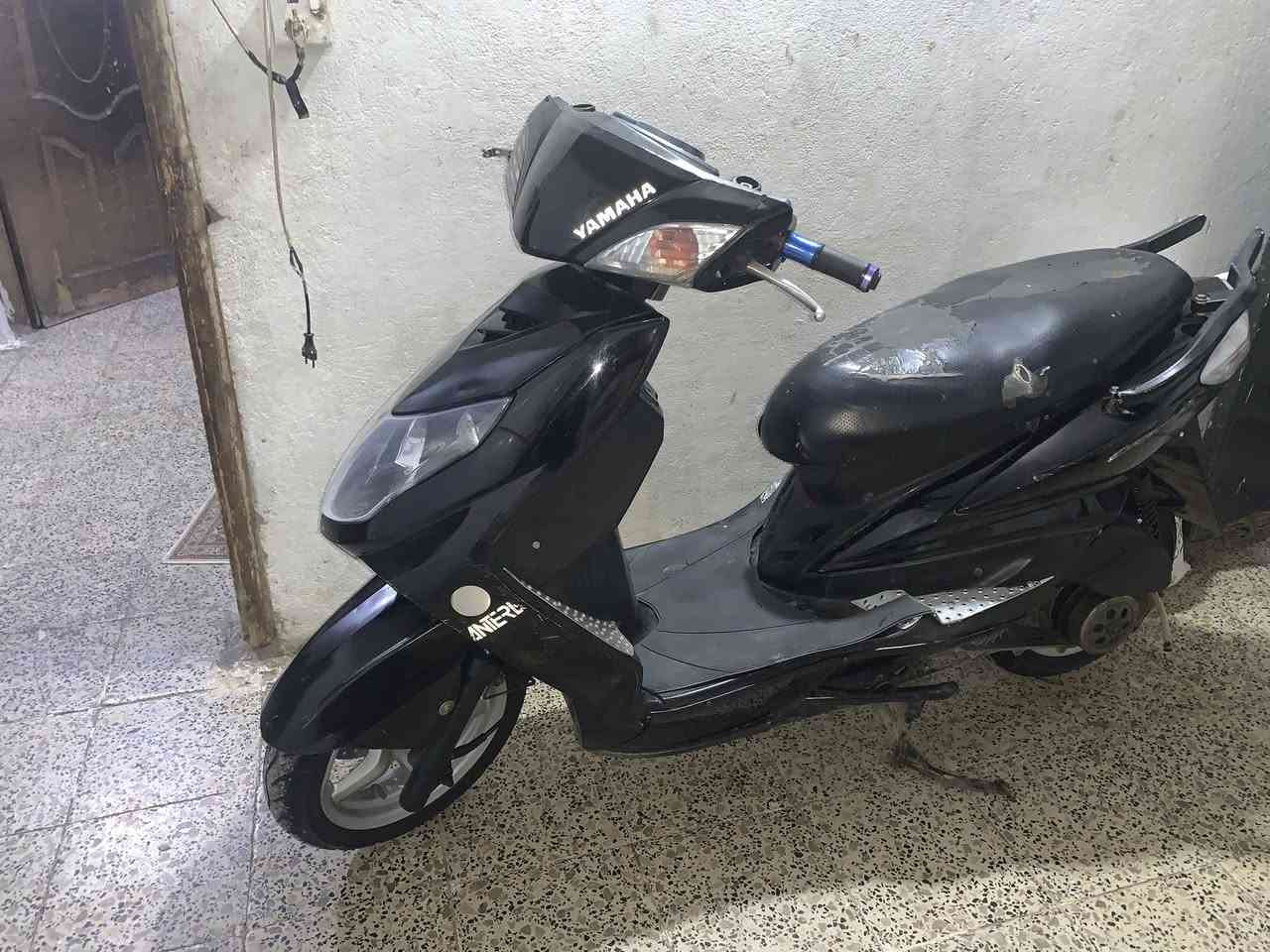 سلام عليكم سكنس  للبيع فحل نوزل  بلاديه  كامله  أو مراوس بماكس عدله بلاديه   السعر 600بيه مجال المكان بغداد الدوره الرقم التواصل واتساب أو اتصال ***********
