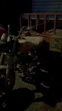 ستوته شغاله • أوراق • بصره ابو الخصيب