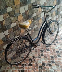 بايسكل بطه • حجم ٢٧ • بابل حله الاكرمين