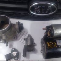 سلف • شغاله • عل فحص