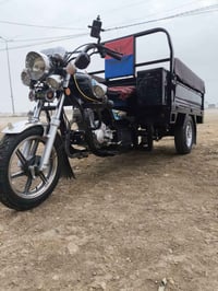 ستوته 2023 • من الوكيل • أوراق أصولي