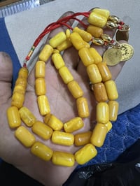 كهرب بولندي • وزن ٥٠ • حبة ١٨×١٠٫٥