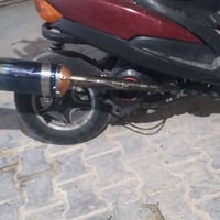 صالنصة للبيع ترهم سكنس ثعلب جبلي او ظاكس اربعة ولف ٠٧٧١٢٠٧٨٨٩١