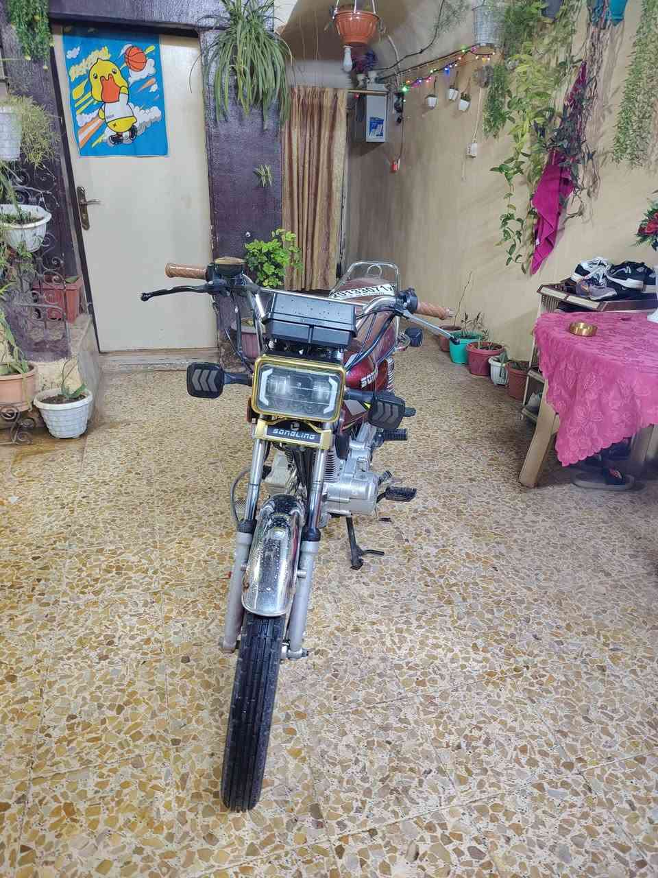 للبيع مرقم مفتوحه المكينه مبدل كير ما ناقصو شي السعر 1.950 مجال قليل رقم نينوى تحويل ثاني يوم الماطور كلو شرط


**إذا كنت صاحب هذا الإعلان وتريد حذفه لأي سبب، رجاءا أرسل رسالة إلى الدعم الفني**